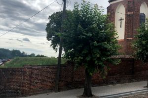 Napowietrzne pajęczyny szpecą miasto