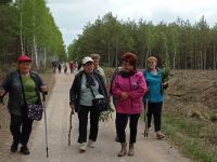 Grupa emerytów spaceruje leśnymi dróżkami
