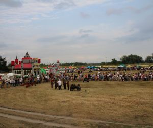 Wystrzałowe Pyzdry