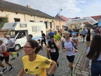 42 Ogólnopolski Bieg Kazimierzowski