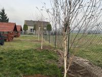 Rozbudowa placu zabaw wraz z ogrodzeniem w m. Wrąbczynek