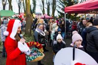 Jarmark Bożonarodzeniowy