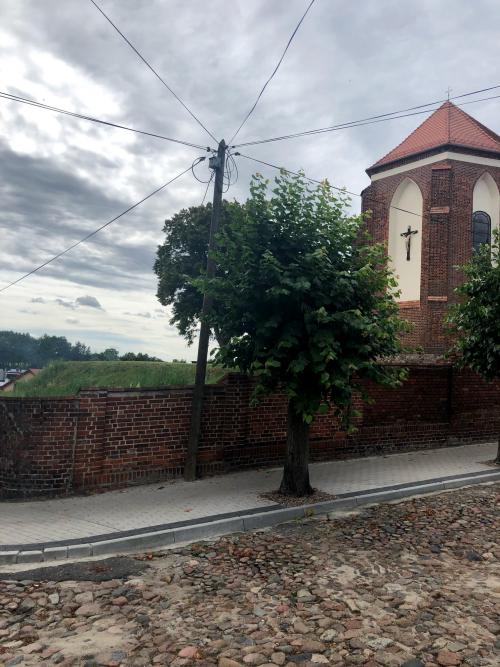 Nie dla pajęczyn w mieście! Czas na światłowód!