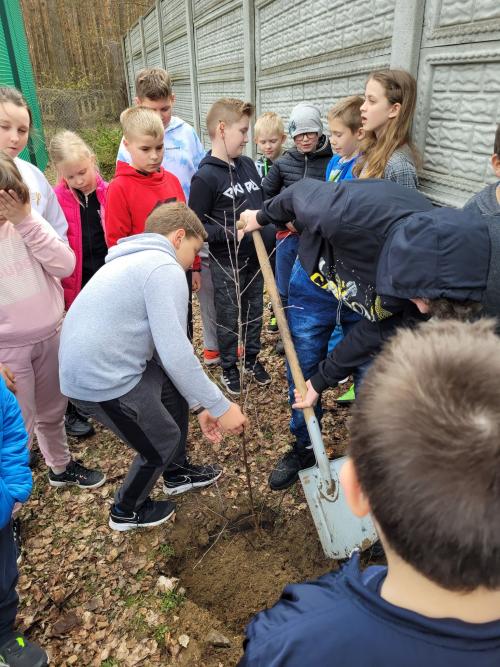 Ekologicznie w Górnych Grądach