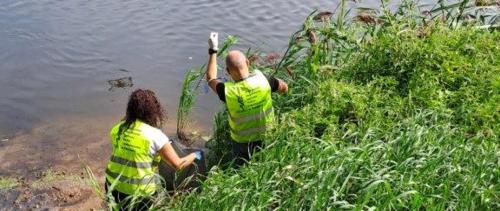 Komunikat Wielkopolskiego Wojewódzkiego Inspektora Ochrony Roślin i Nasiennictwa